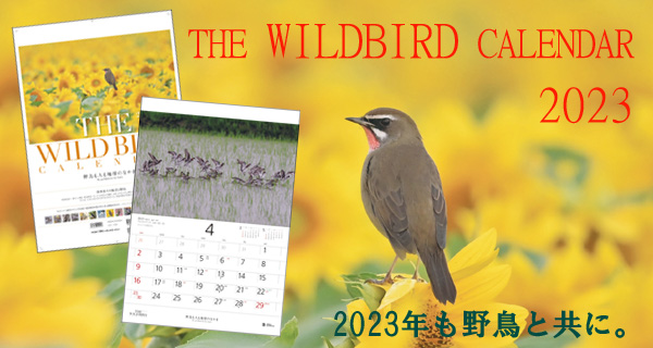 日本野鳥の会 バードショップオンライン Wild Bird カレンダー