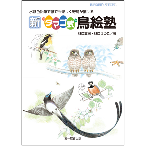 日本野鳥の会 バードショップオンライン Wild Bird 写真集 ガイドブック 絵本 新 タマゴ式 鳥絵塾水彩色鉛筆で誰でも楽しく野鳥が描ける