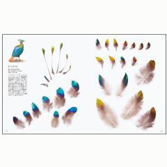 日本野鳥の会 バードショップオンライン Wild Bird 写真集 ガイド