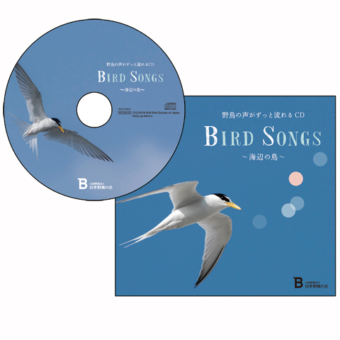 野鳥の声がずっと流れるＣＤ「BIRD SONGS」～海辺の鳥～