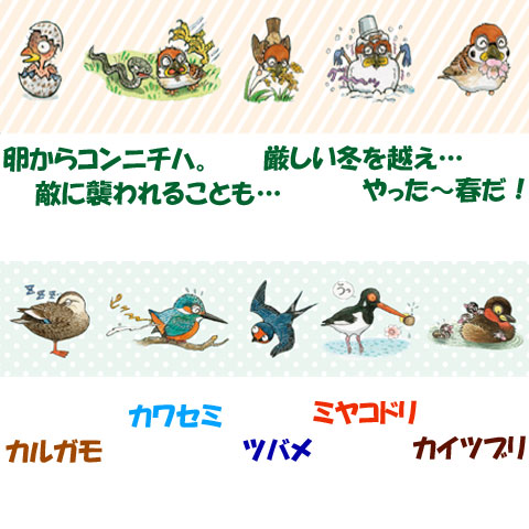 日本野鳥の会 バードショップオンライン Wild Bird ゲーム ホビー 文具 日本野鳥の会オリジナル 富士鷹なすびのマスキングテープ ２種セット