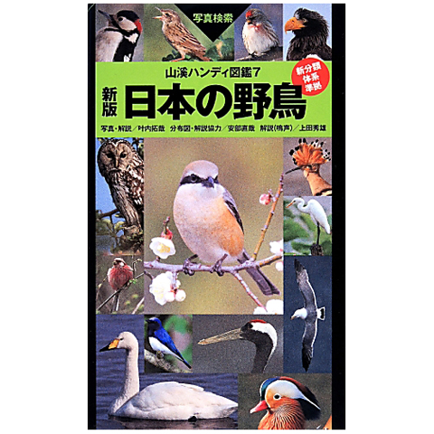山渓ハンディ図鑑7　新版 日本の野鳥